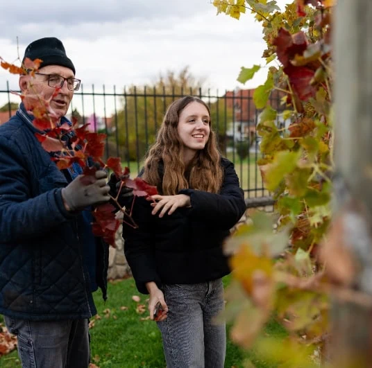 Familienmitglieder begutachten einen Rebzweig der sich bereits rot gefärbt hat, da Herbst ist.
