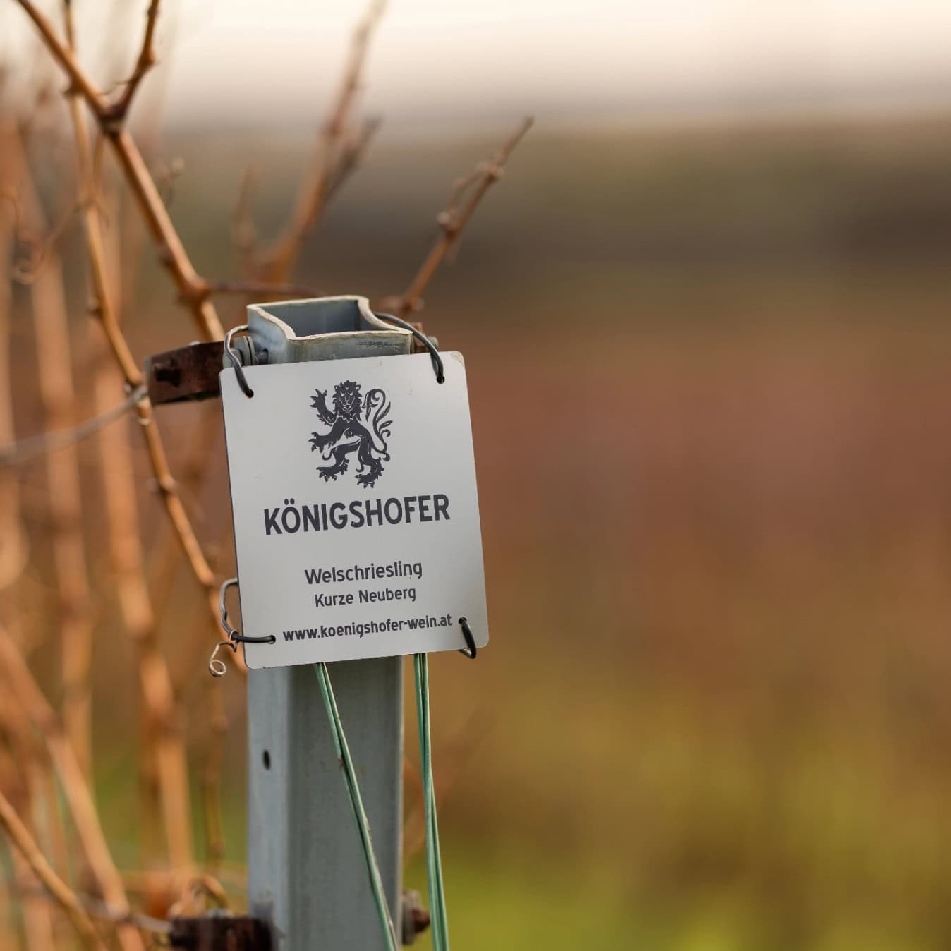 Schild am Weingarten mit der Beschriftung Welschriesling Kurze Neuberg.