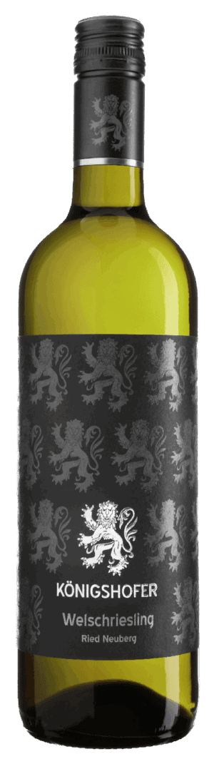 Foto Welschriesling